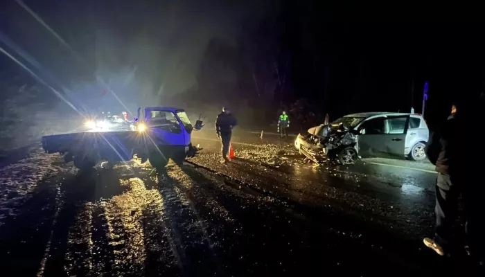 Выехала на встречку: в Республике Алтай водитель Nissan пострадала в ДТП с грузовиком