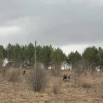 Пропавшую 27-летнюю жительницу Горно-Алтайска нашли погибшей