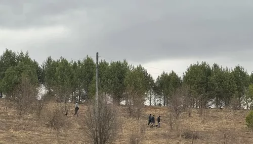 Пропавшую 27-летнюю жительницу Горно-Алтайска нашли погибшей