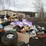 Жители бийского Заречья бьют тревогу из-за рассадника огромных крыс