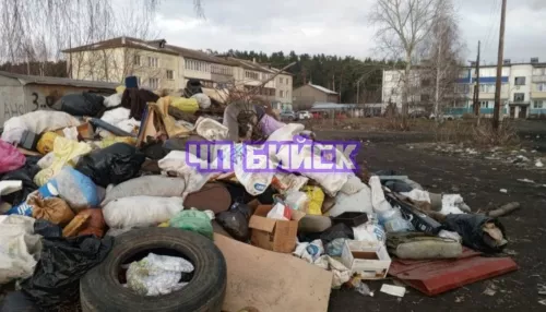 Жители бийского Заречья бьют тревогу из-за рассадника огромных крыс