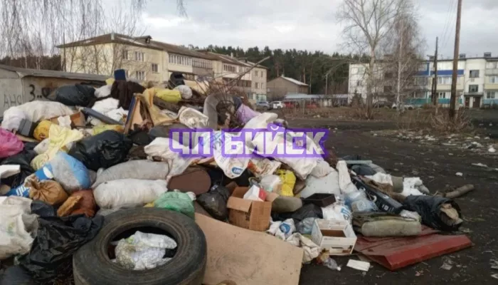 Жители бийского Заречья бьют тревогу из-за рассадника огромных крыс