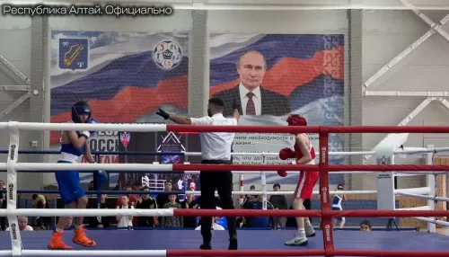 Первенство СФО по боксу памяти Героя России стартовало в Горно-Алтайске