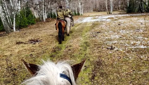 В Алтайском заповеднике прошли весенние полевые работы. Фото