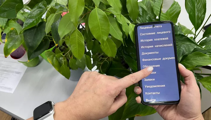 Всё, что вы хотели узнать о Личном кабинете БГЭС