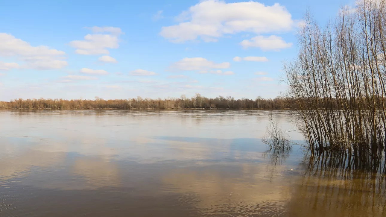 Малые реки в половодье: как выглядят водоемы Барнаула в первую волну паводка