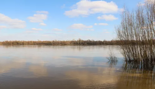 Малые реки в половодье: как выглядят водоемы Барнаула в первую волну паводка