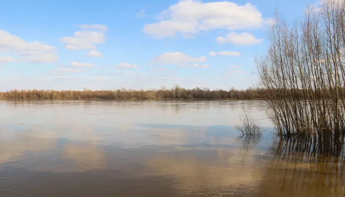 Малые реки в половодье: как выглядят водоемы Барнаула в первую волну паводка