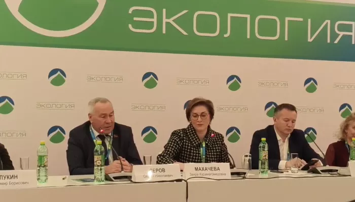 Жесткие правила: в Москве обсудили меры контроля открытой золотодобычи на Алтае