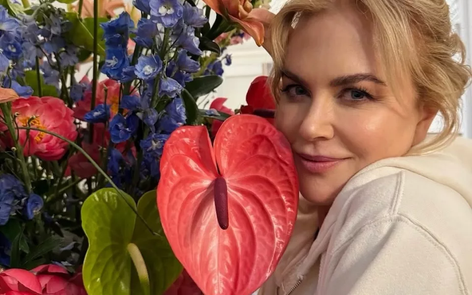 Николь Кидман решила стать доулой для умирающих людей