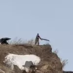 Барнаульцы заметили мужчину, выбросившего мусор на берегу Оби. Видео