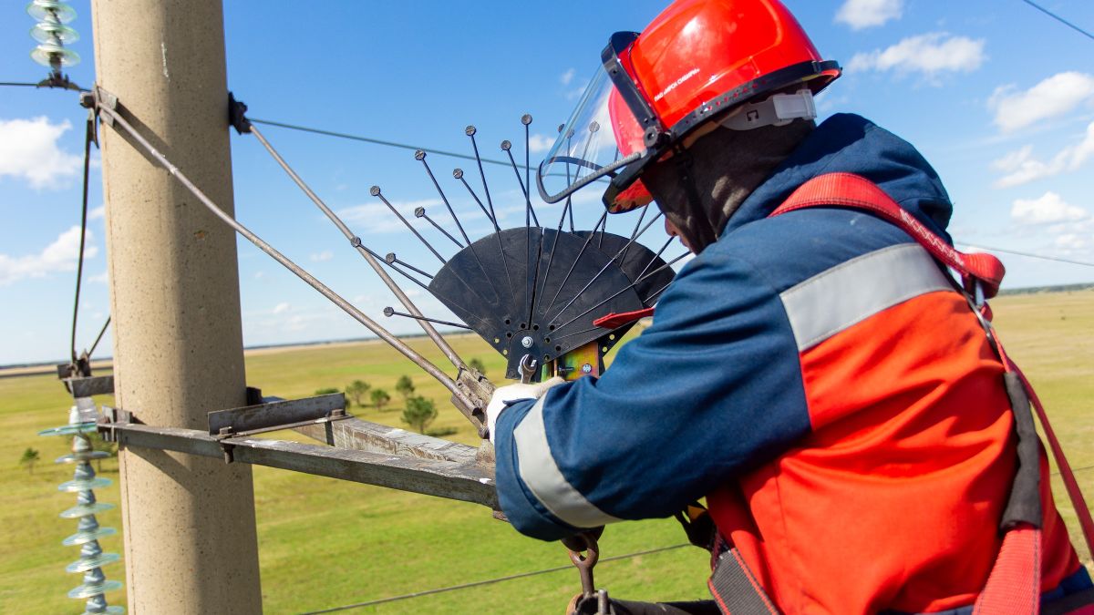 Энергетики защищают редких птиц  