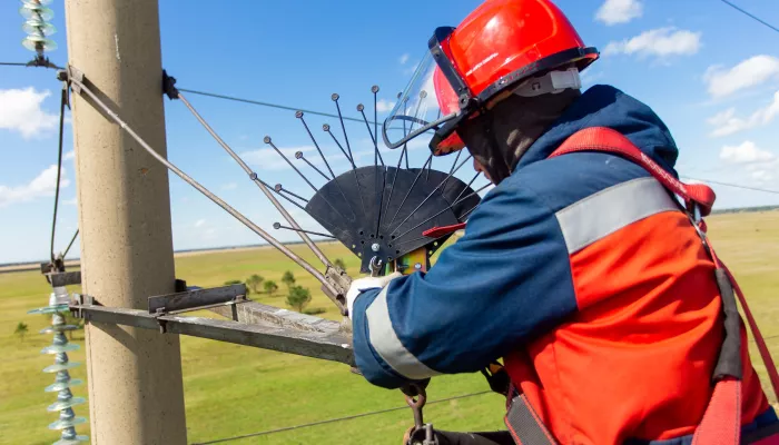 Энергетики Россети Сибирь защищают редких птиц