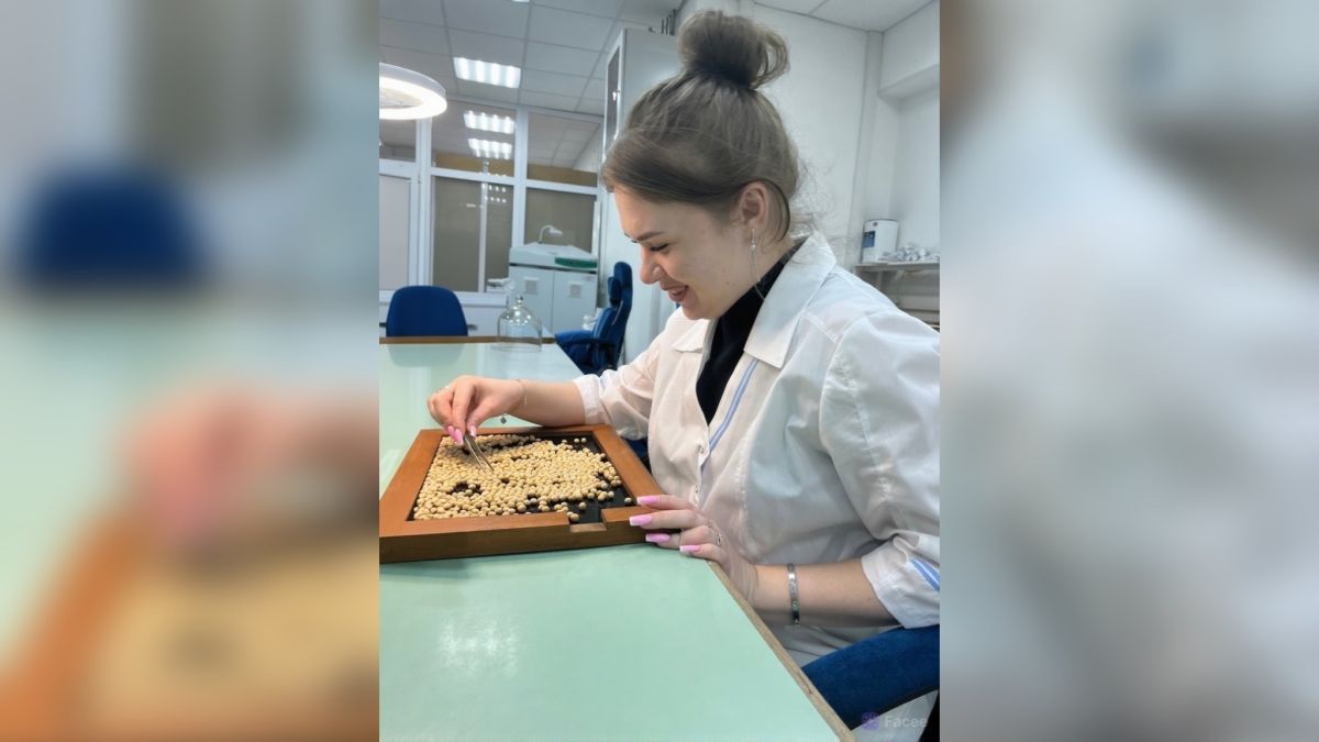 Проверка семян