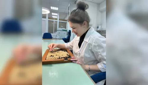 Алтайский Россельхозцентр проверил свыше 430 тысяч тонн семян