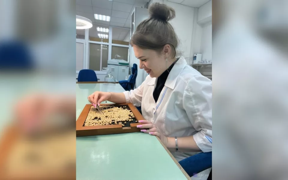 Алтайский Россельхозцентр проверил свыше 430 тысяч тонн семян