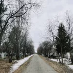 Редкие сугробы и листва: как выглядит главное кладбище Барнаула в преддверии Радоницы