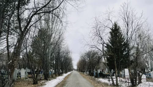 Редкие сугробы и листва: как выглядит главное кладбище Барнаула в преддверии Радоницы