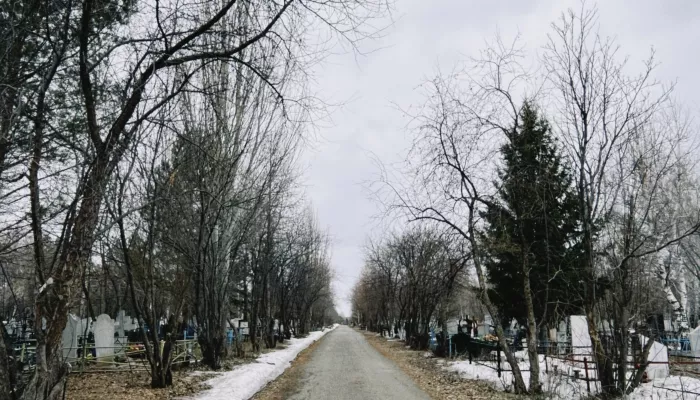 Редкие сугробы и листва: как выглядит главное кладбище Барнаула в преддверии Радоницы