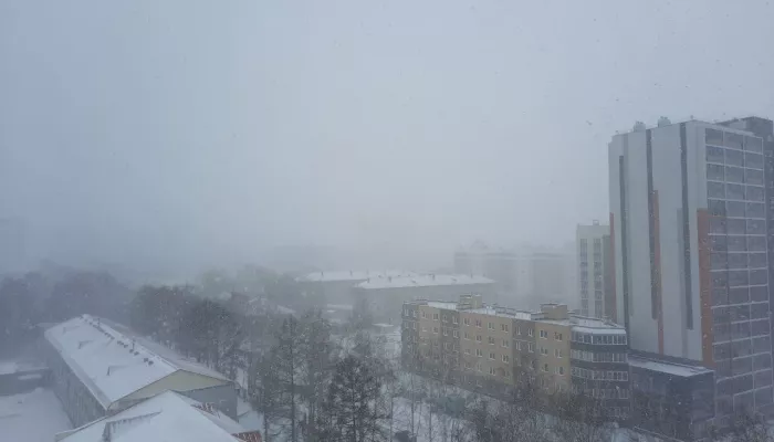 Внезапный снегопад накрыл Новосибирск 17 апреля. Фото