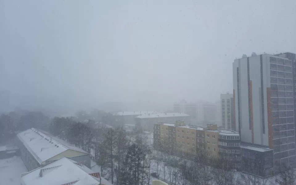 Внезапный снегопад накрыл Новосибирск 17 апреля. Фото