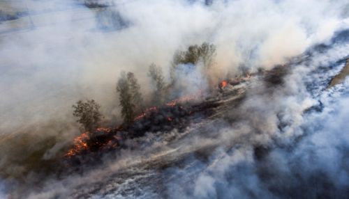 1,5 млн га: площадь пожаров в Восточной Сибири сравнима с территорией Черногории