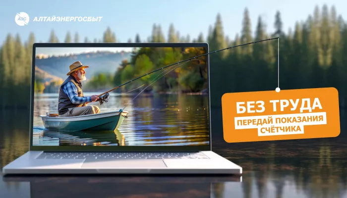 Алтайэнергосбыт: почему важно передавать показания счётчиков вовремя