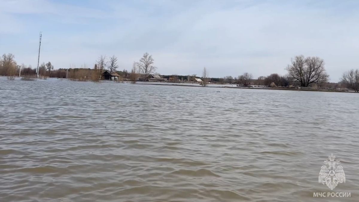 Паводок в Алтайском крае