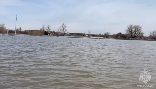 Пора собирать тревожный чемоданчик: уровень воды в Кулунде продолжает расти