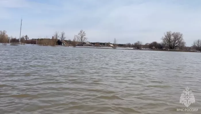 Пора собирать тревожный чемоданчик: уровень воды в Кулунде продолжает расти