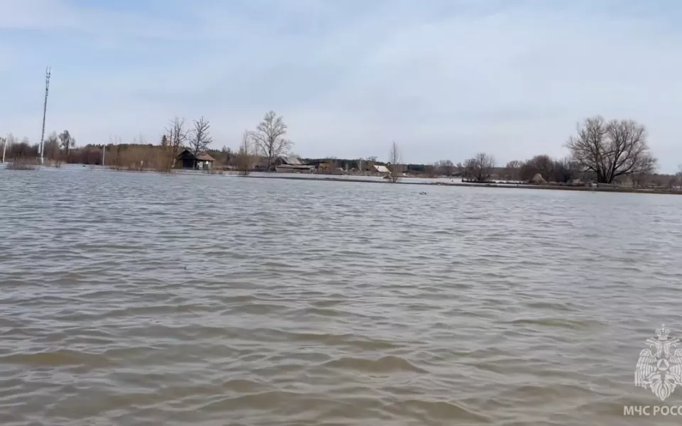 Пора собирать тревожный чемоданчик: уровень воды в Кулунде продолжает расти