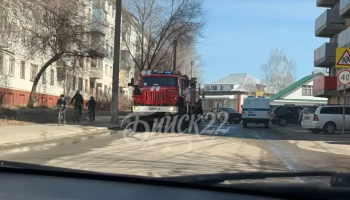 Пожар из-за неосторожного обращения с огнем охватил семь гаражей в Бийске