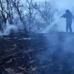 В доме семьи с пятью детьми в Алтайском крае произошел пожар