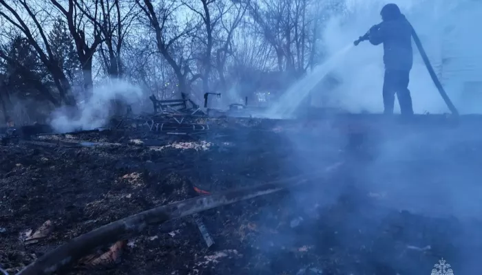 В доме семьи с пятью детьми в Алтайском крае произошел пожар
