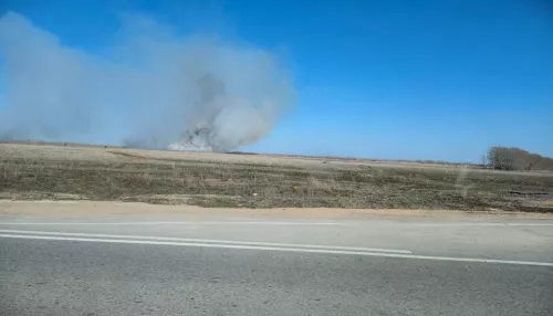 На полях недалеко от Рубцовска произошел пожар. Фото