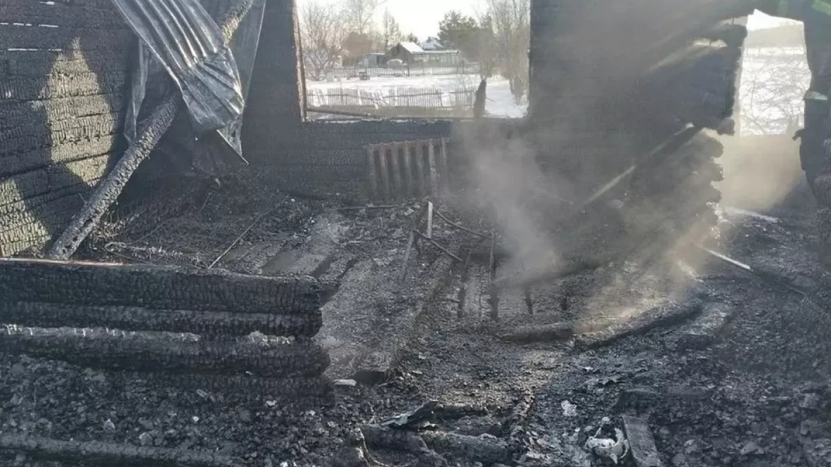 Бабушка с внучкой погибли при пожаре под Новосибирском