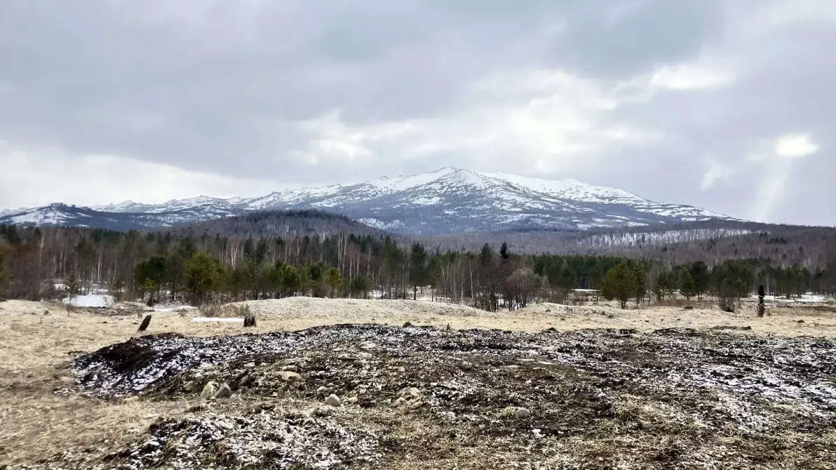 Поиски Усольцевых. Апрель 2026 года