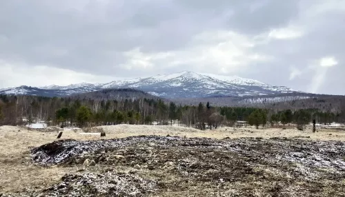 Стало известно, сколько еще будут искать исчезнувшую семью Усольцевых