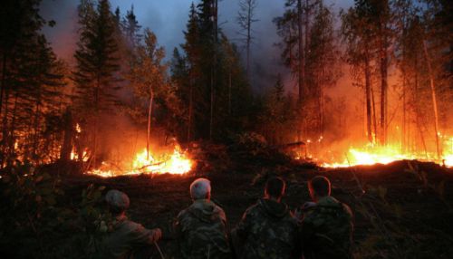 Площадь природных пожаров в Сибири достигла 2,3 млн га
