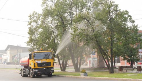 Из-за засухи и загазованности в Барнауле приходится мыть деревья