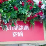 Витрина производителей Алтайского края появится на Яндекс Маркете вслед за Ozon