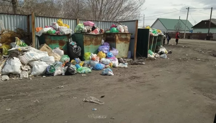Александр Терентьев потребовал наладить вывоз мусора в селе Кулунда