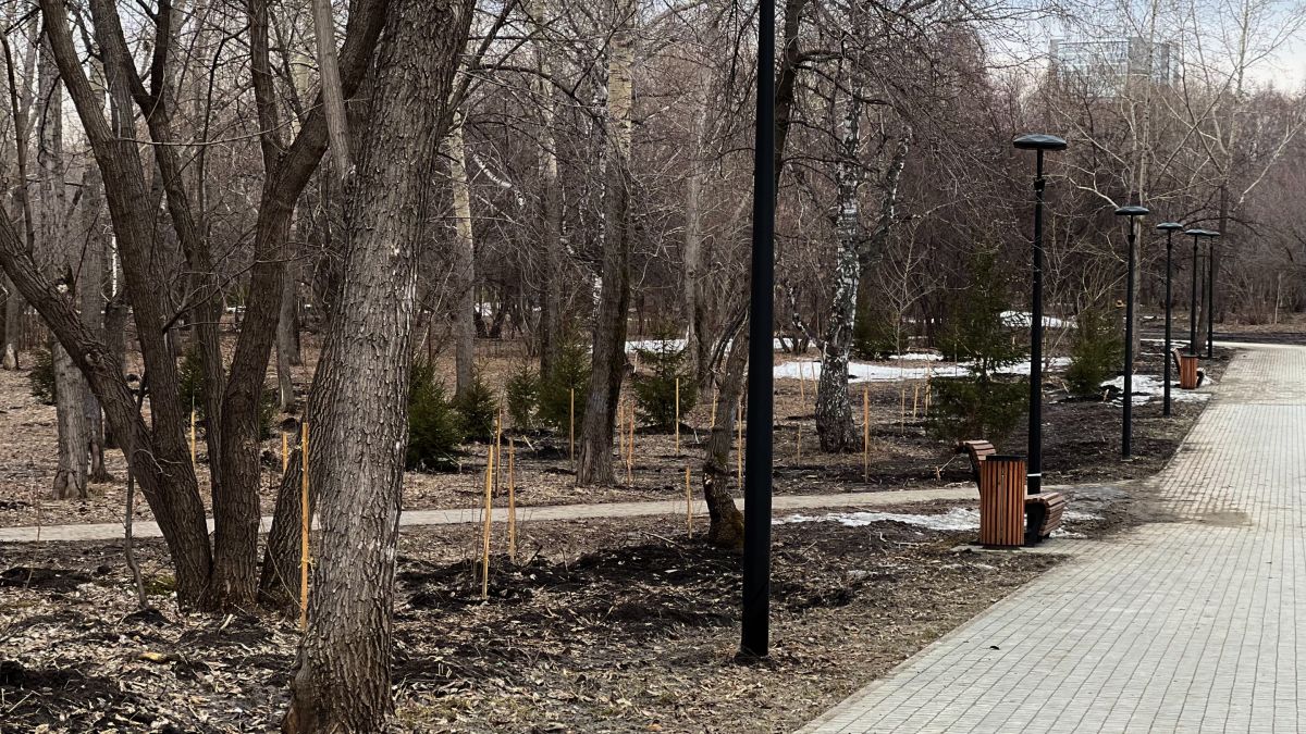 Парк им. Ленина. Апрель 2026 года