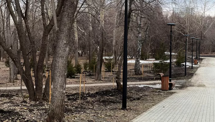 Общественные территории Барнаула обработают от клещей