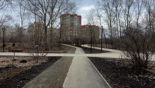 Концептуальный перезапуск: как изменится барнаульский парк имени Ленина в 2026 году