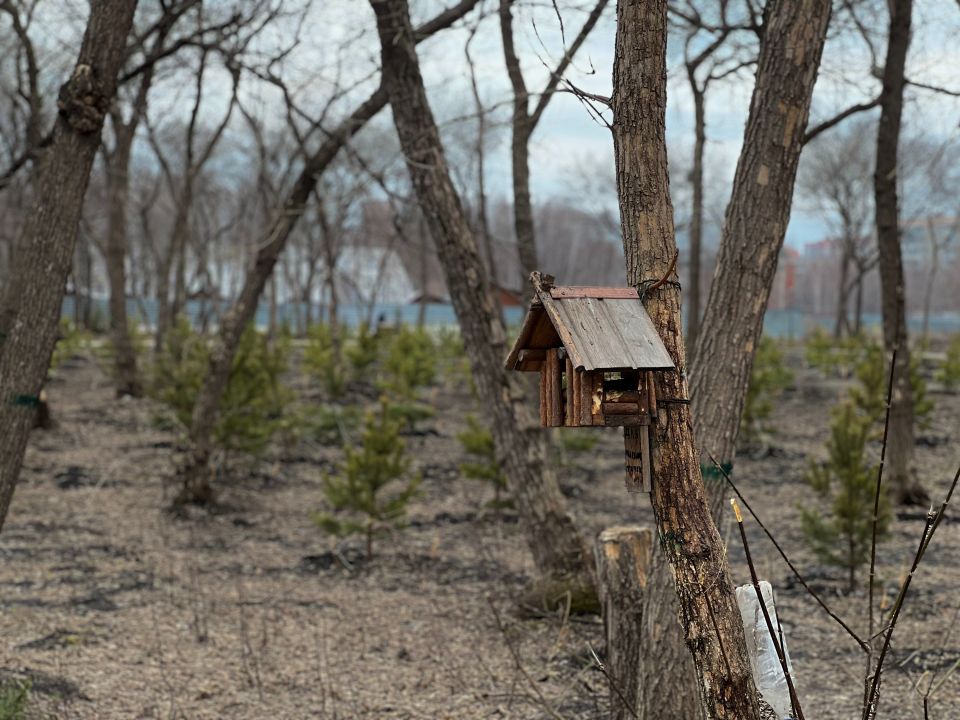 Парк им. Ленина. Апрель 2026 года