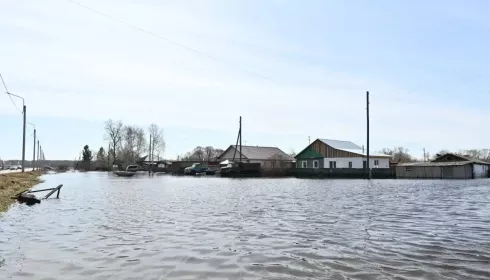 Выплаты пострадавшим от паводка в Алтайском крае начнут поступать на этой неделе