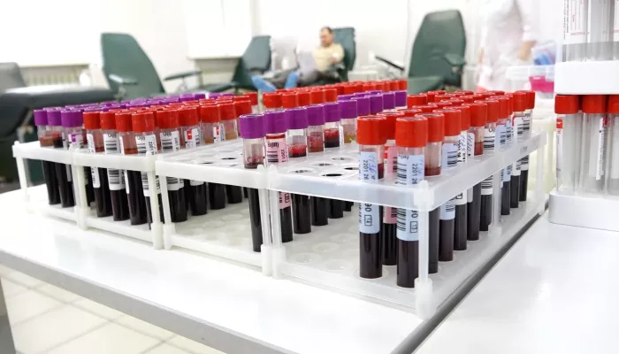 В России отмечают День донора: сколько их в Алтайском крае и как им стать