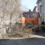 В Горно-Алтайске убирают аварийные деревья вдоль проспекта Коммунистического