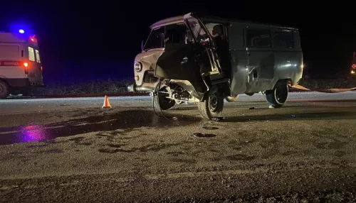 В Республике Алтай водитель УАЗа насмерть сбил корову, а сам попал в больницу